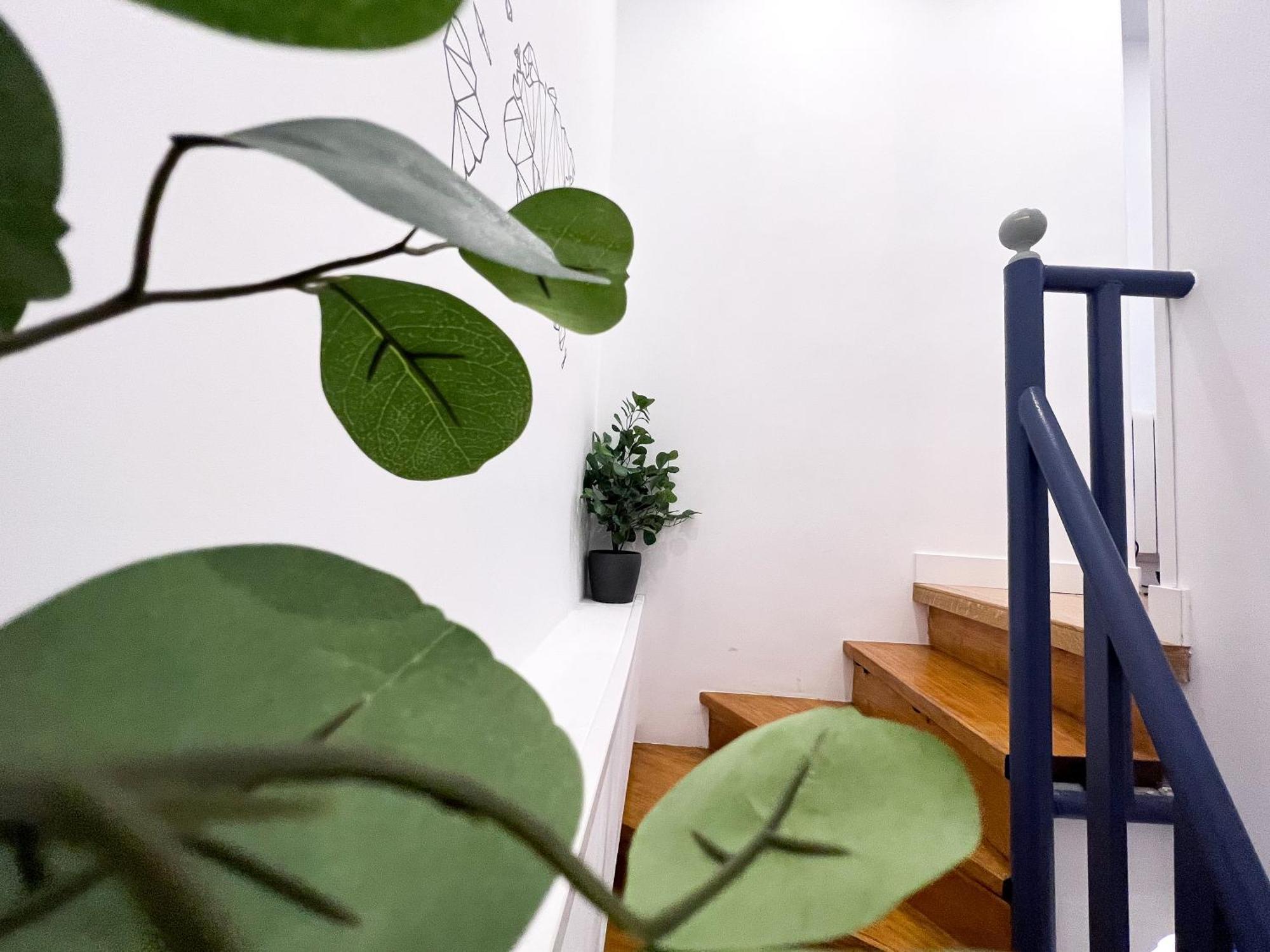 Apartment Duplex *